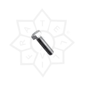 VITE TE FERRO ZINC METALLO Ø 10 x 70 mm